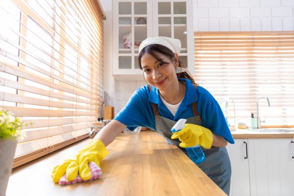 Two young professional housewives cleaning the house